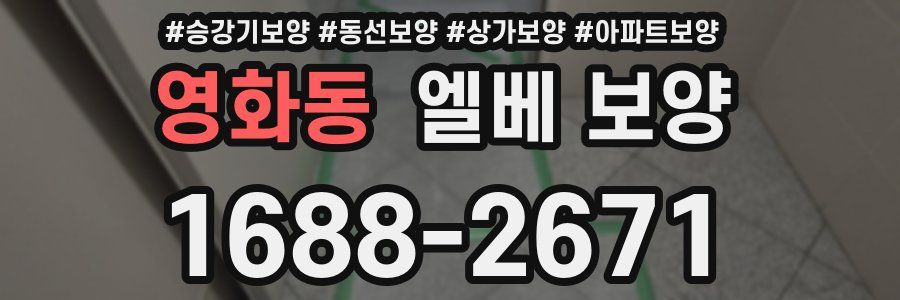 영화동 엘베 보양