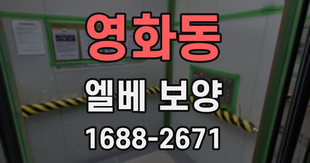 영화동 엘베 보양