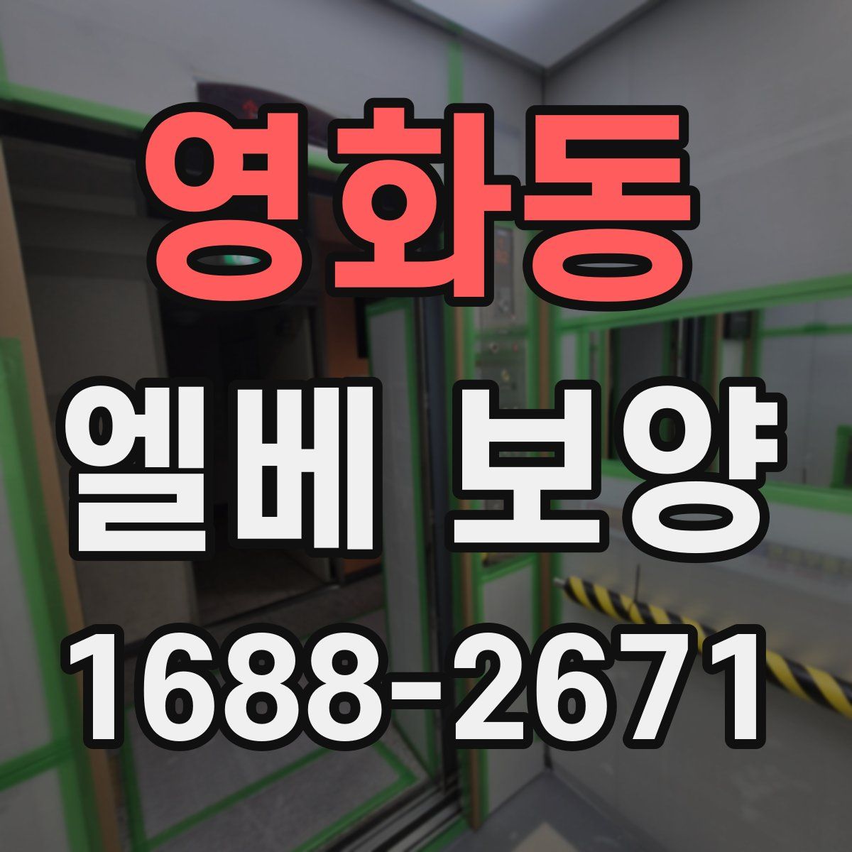 영화동 엘베 보양