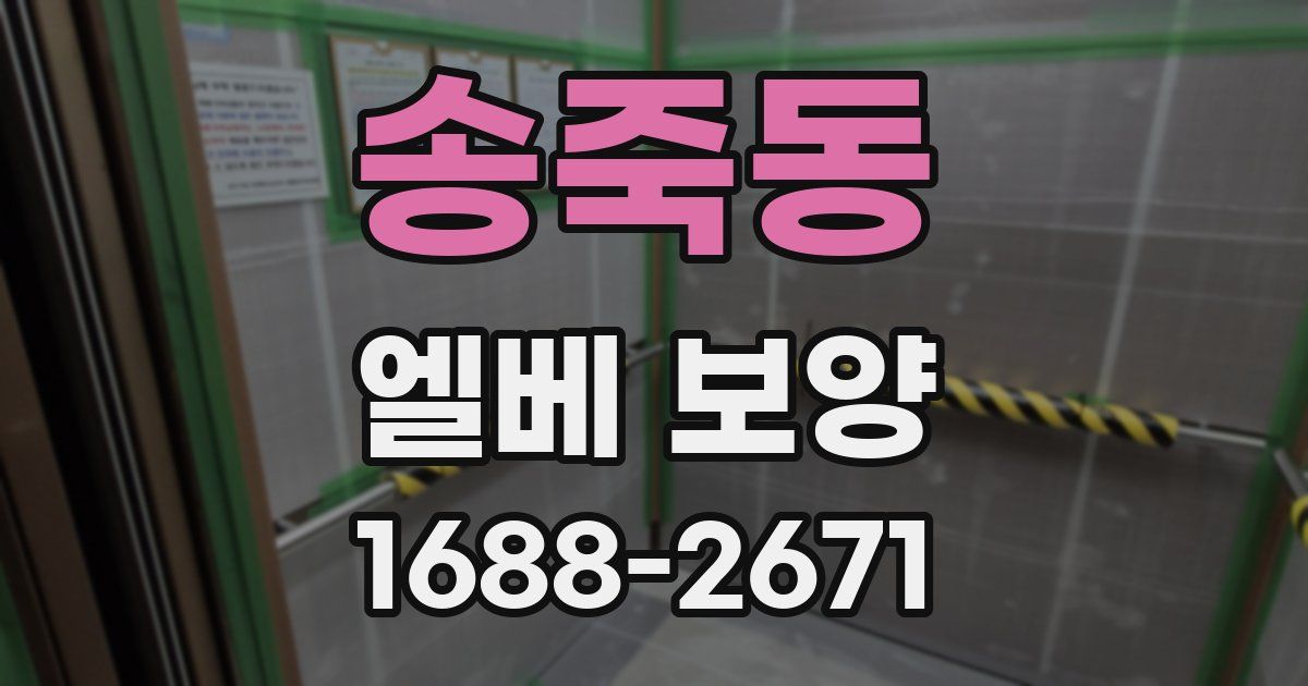 송죽동 엘베 보양