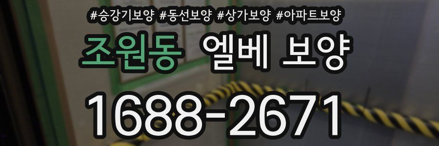 조원동 엘베 보양