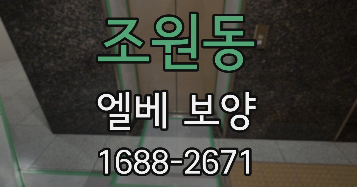 조원동 엘베 보양