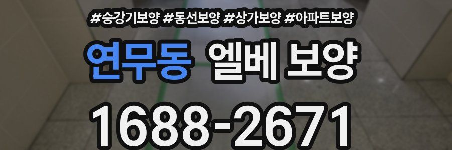 연무동 엘베 보양