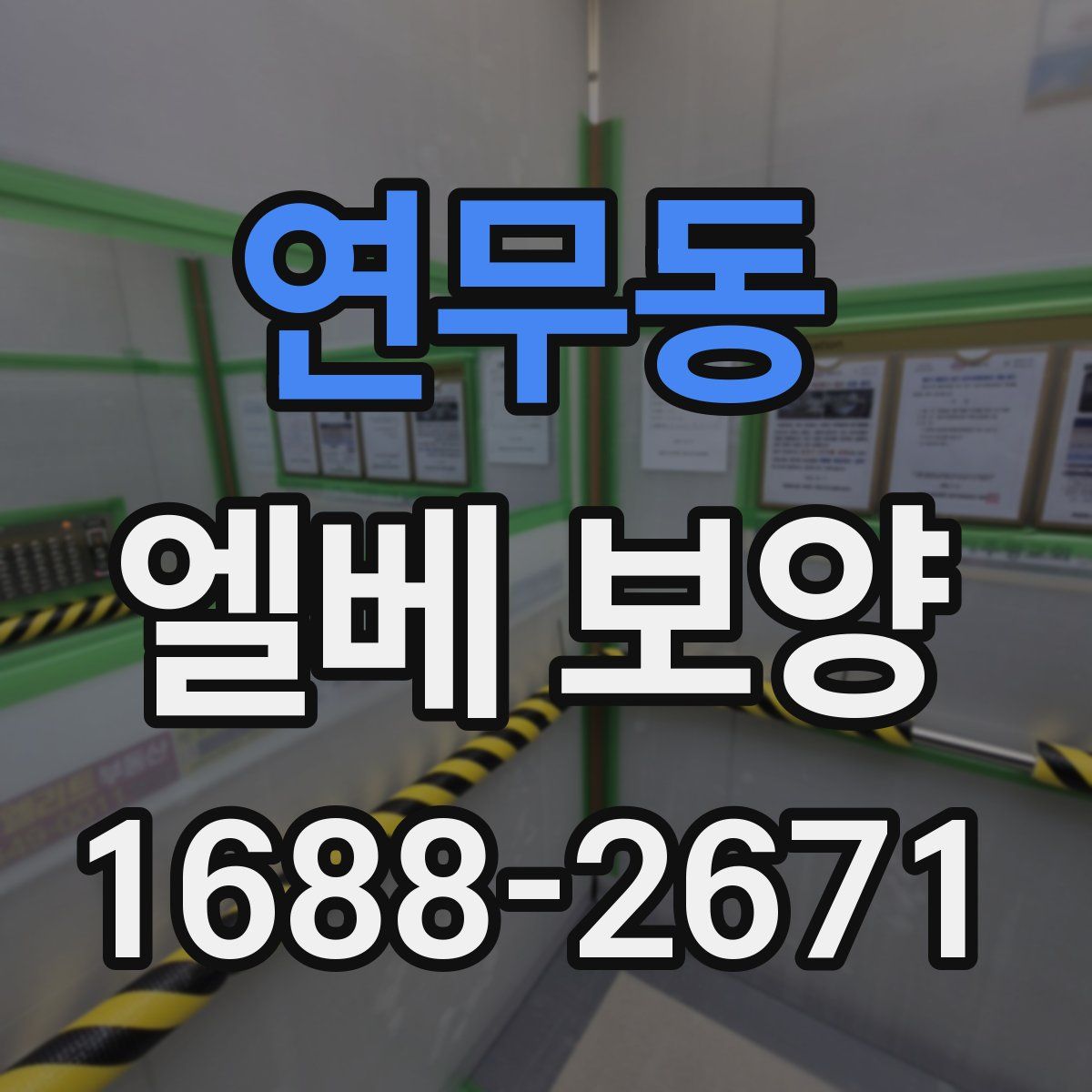 연무동 엘베 보양