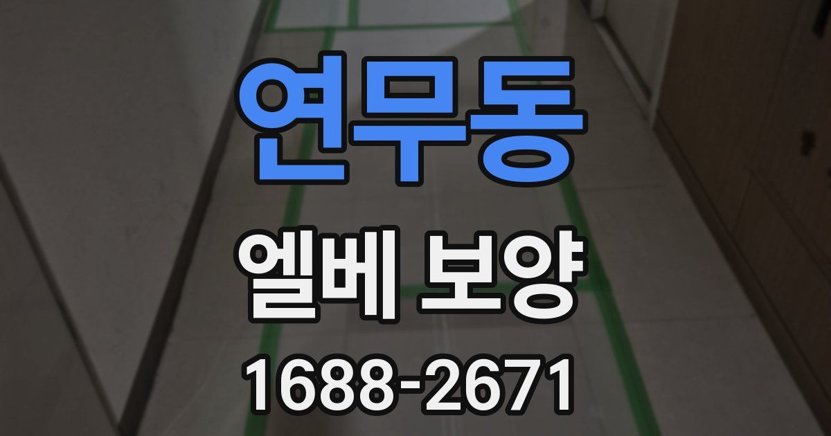 연무동 엘베 보양