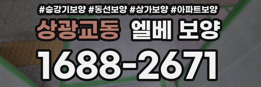 상광교동 엘베 보양