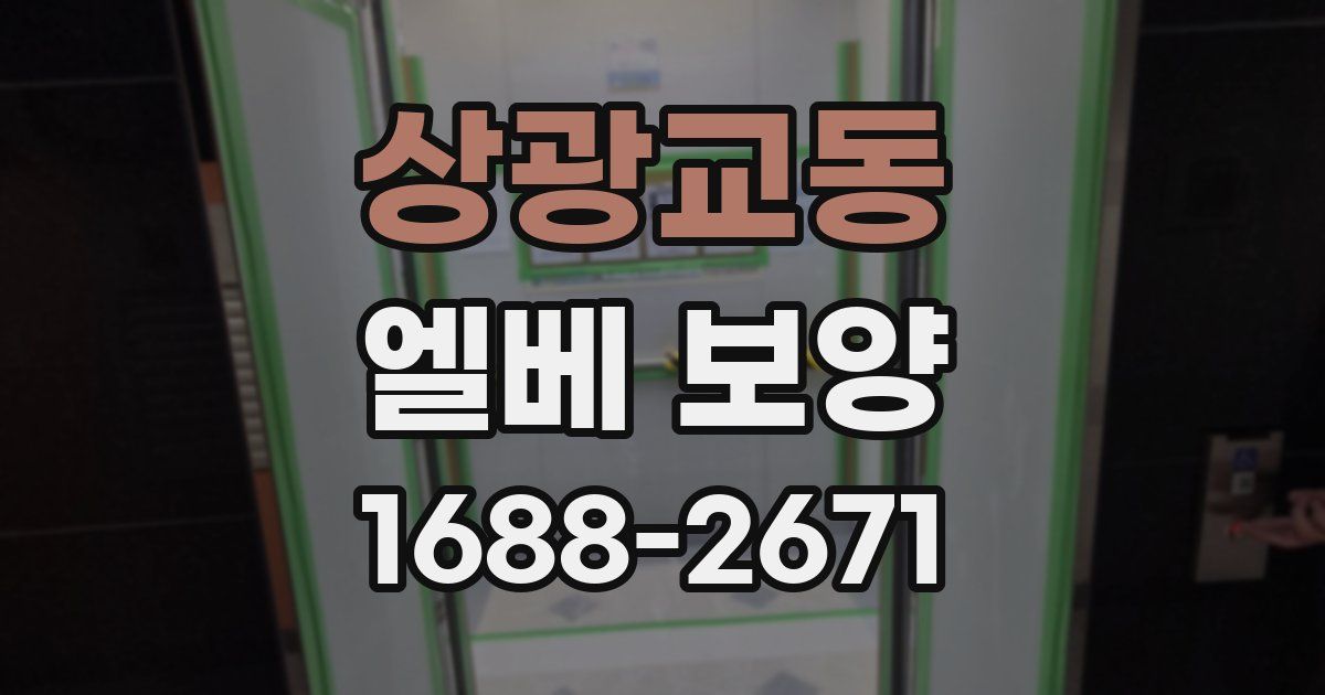 상광교동 엘베 보양