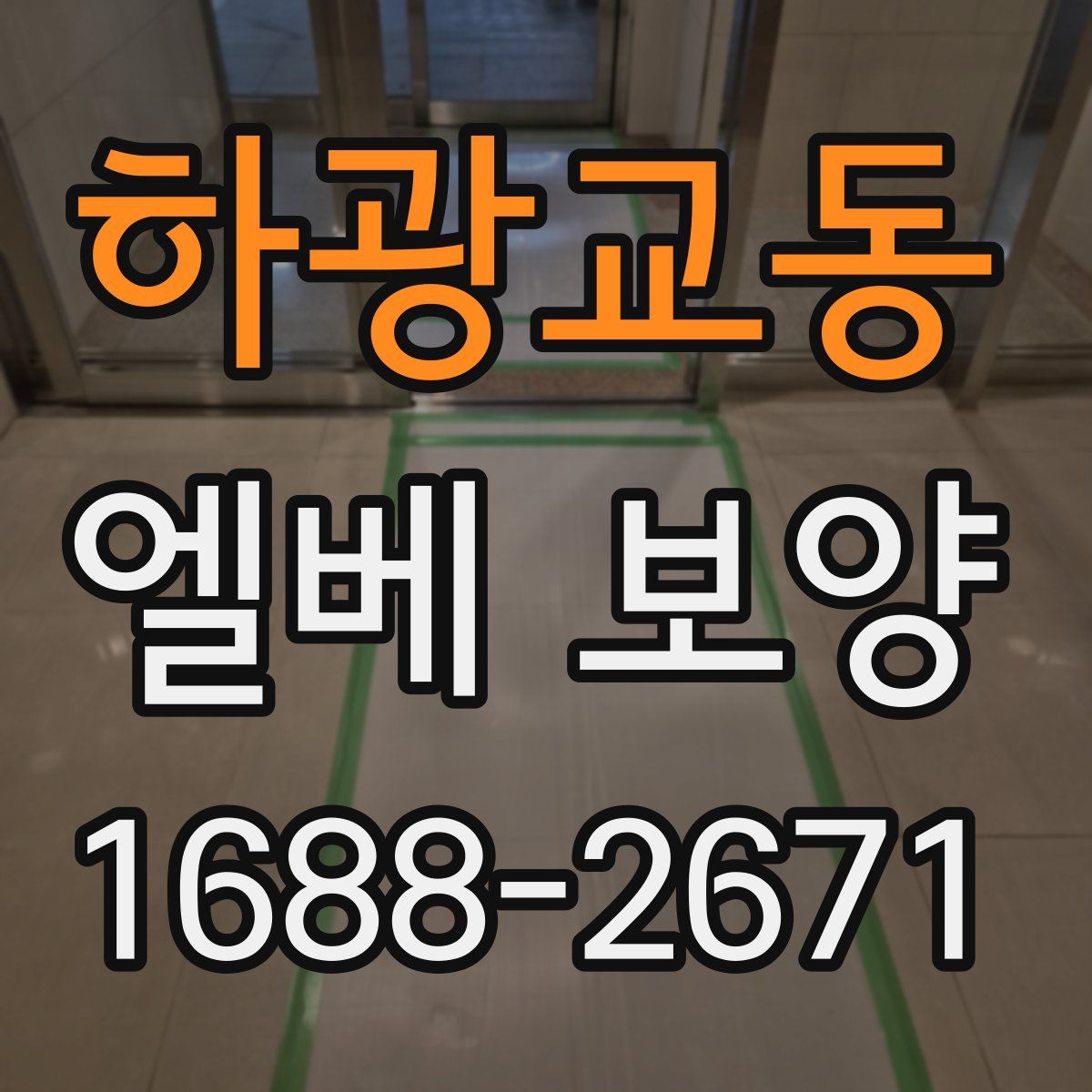 하광교동 엘베 보양