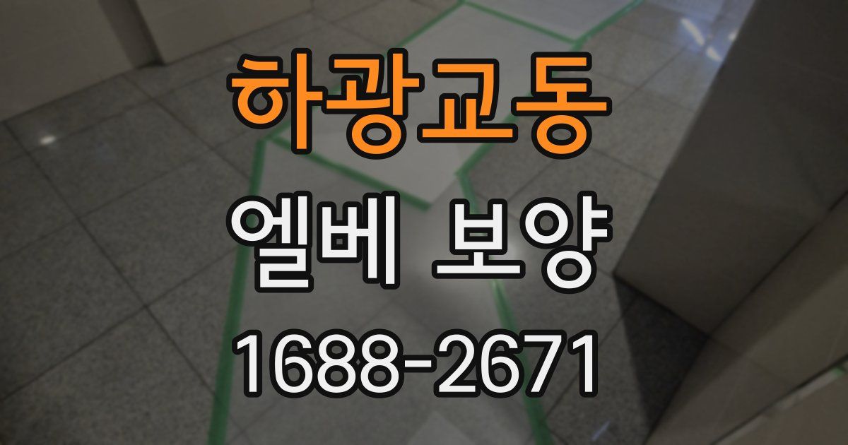 하광교동 엘베 보양