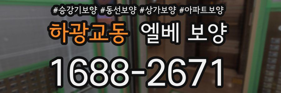 하광교동 엘베 보양