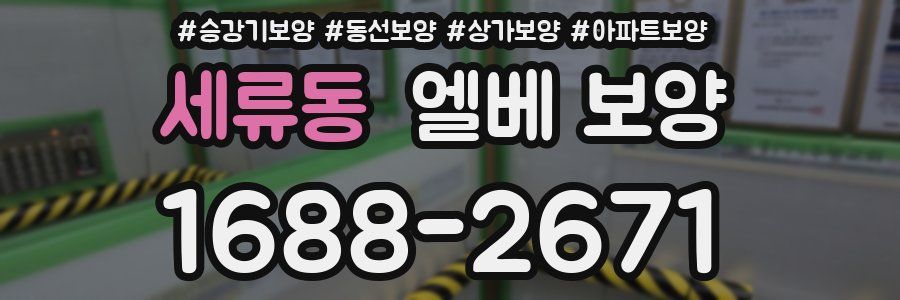 세류동 엘베 보양