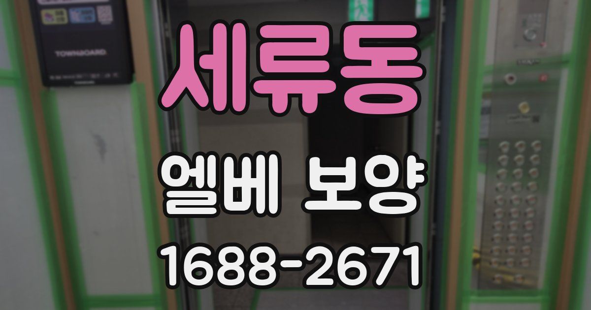 세류동 엘베 보양