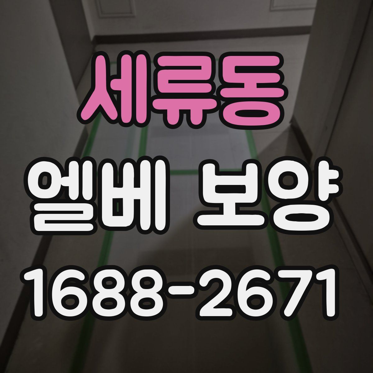 세류동 엘베 보양