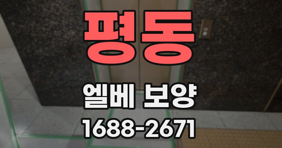 평동 엘베 보양