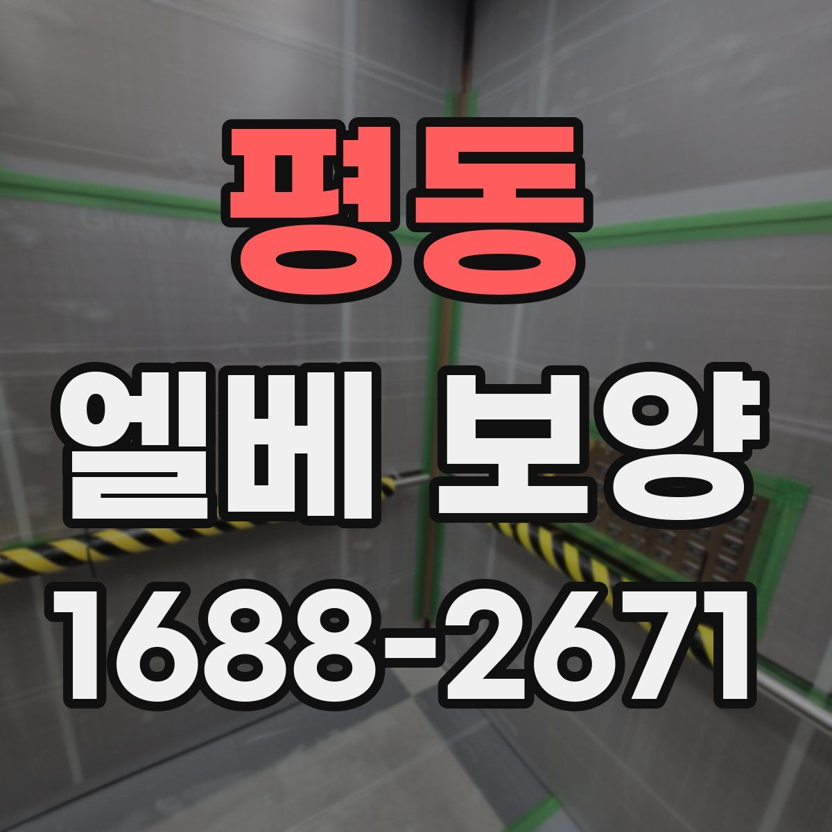 평동 엘베 보양