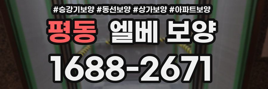 평동 엘베 보양