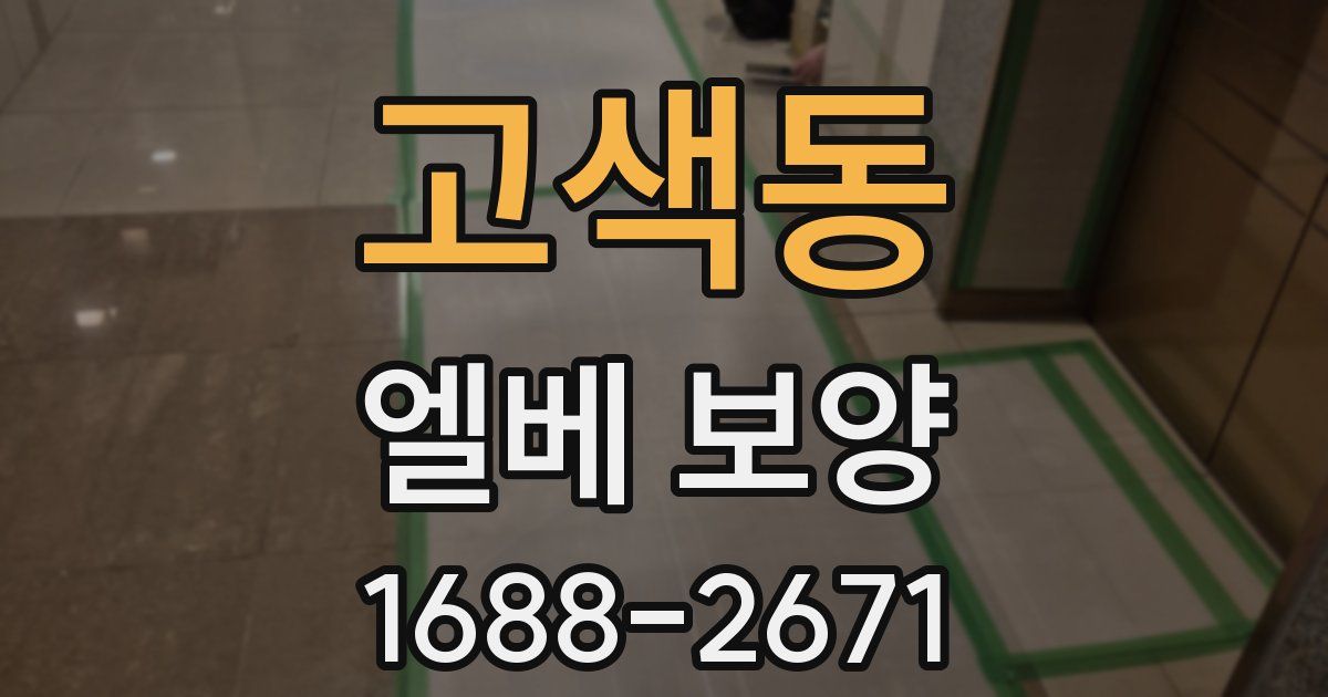 고색동 엘베 보양