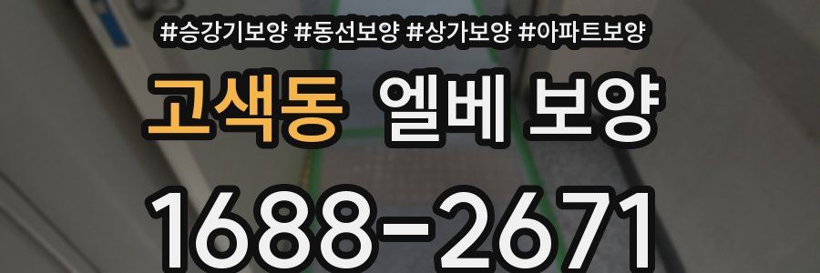 고색동 엘베 보양