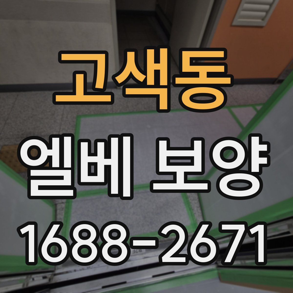 고색동 엘베 보양