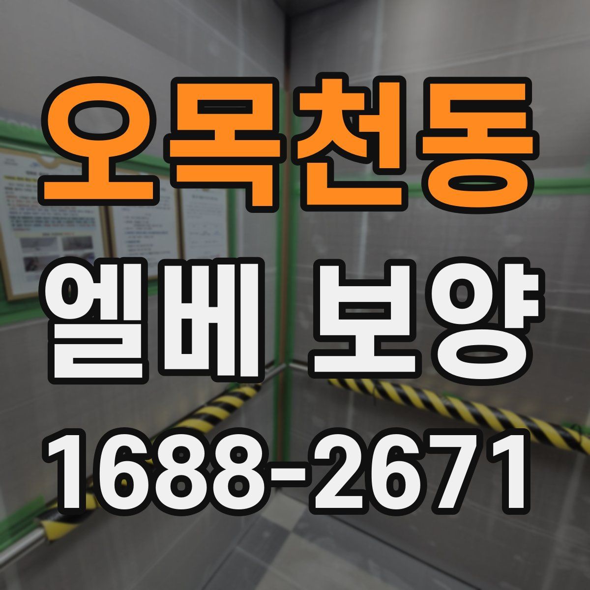 오목천동 엘베 보양