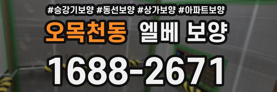 오목천동 엘베 보양