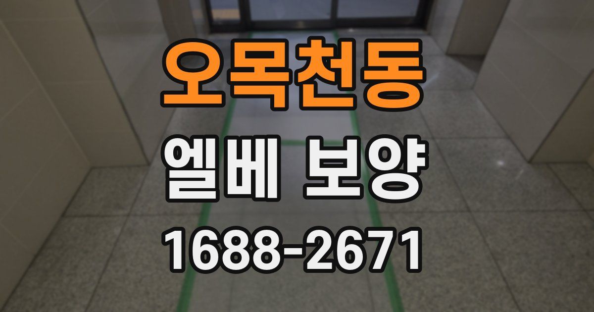 오목천동 엘베 보양