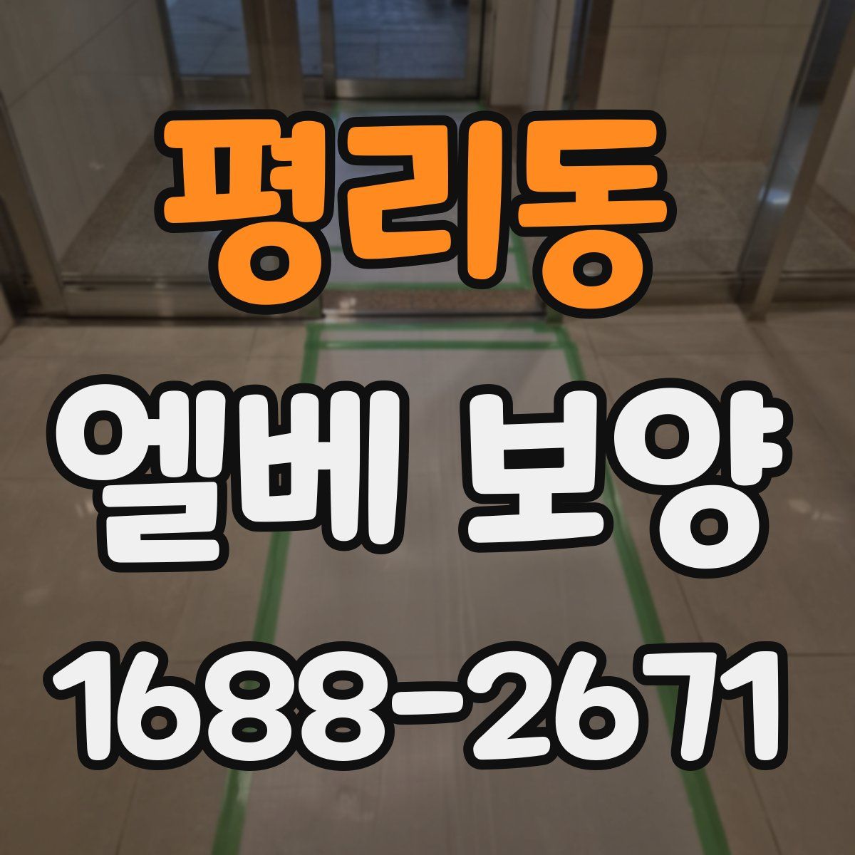 평리동 엘베 보양