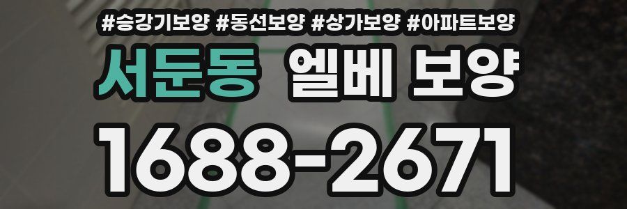 서둔동 엘베 보양
