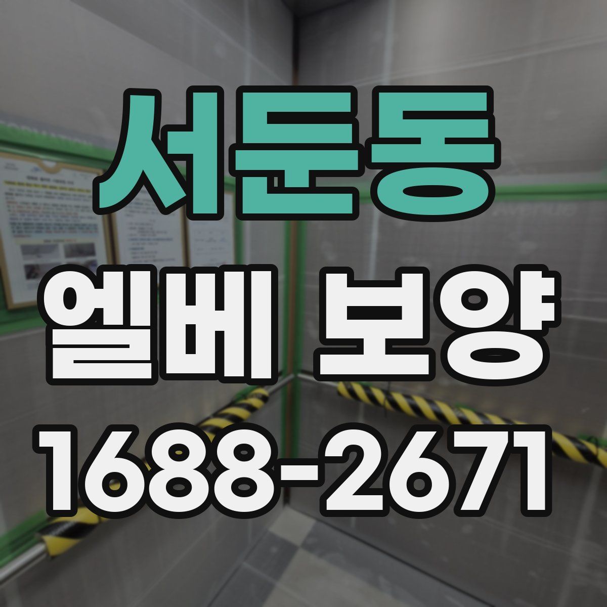 서둔동 엘베 보양