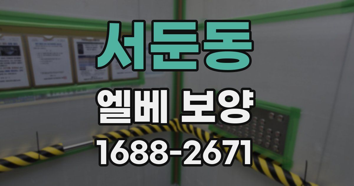 서둔동 엘베 보양