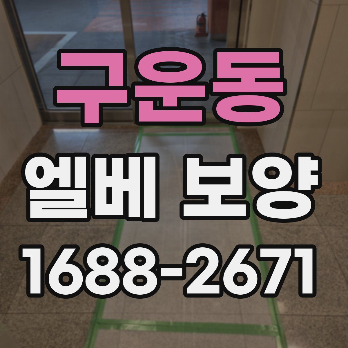 구운동 엘베 보양