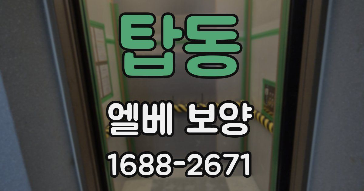 탑동 엘베 보양