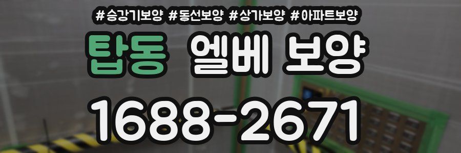탑동 엘베 보양