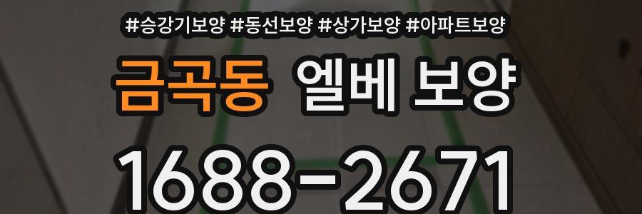 금곡동 엘베 보양