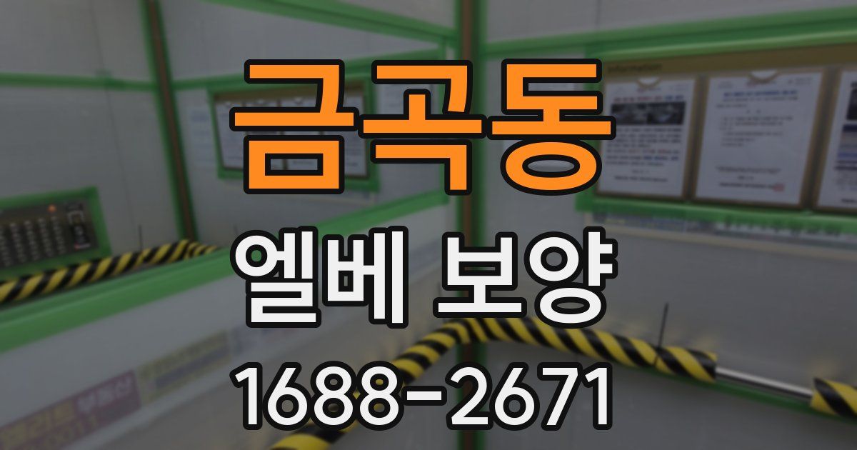 금곡동 엘베 보양