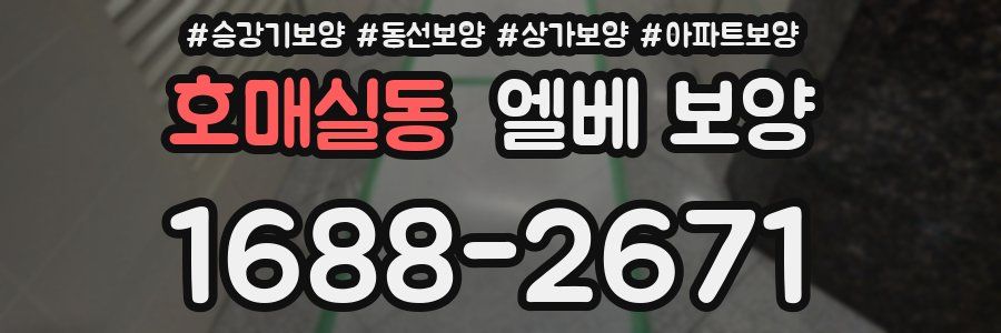 호매실동 엘베 보양