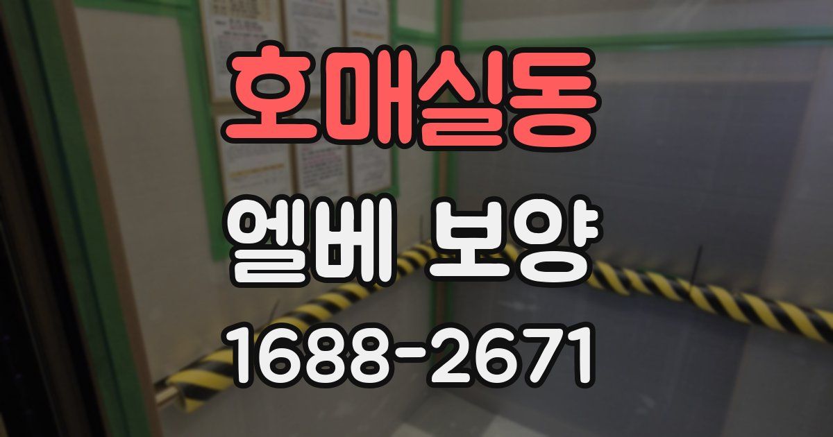 호매실동 엘베 보양