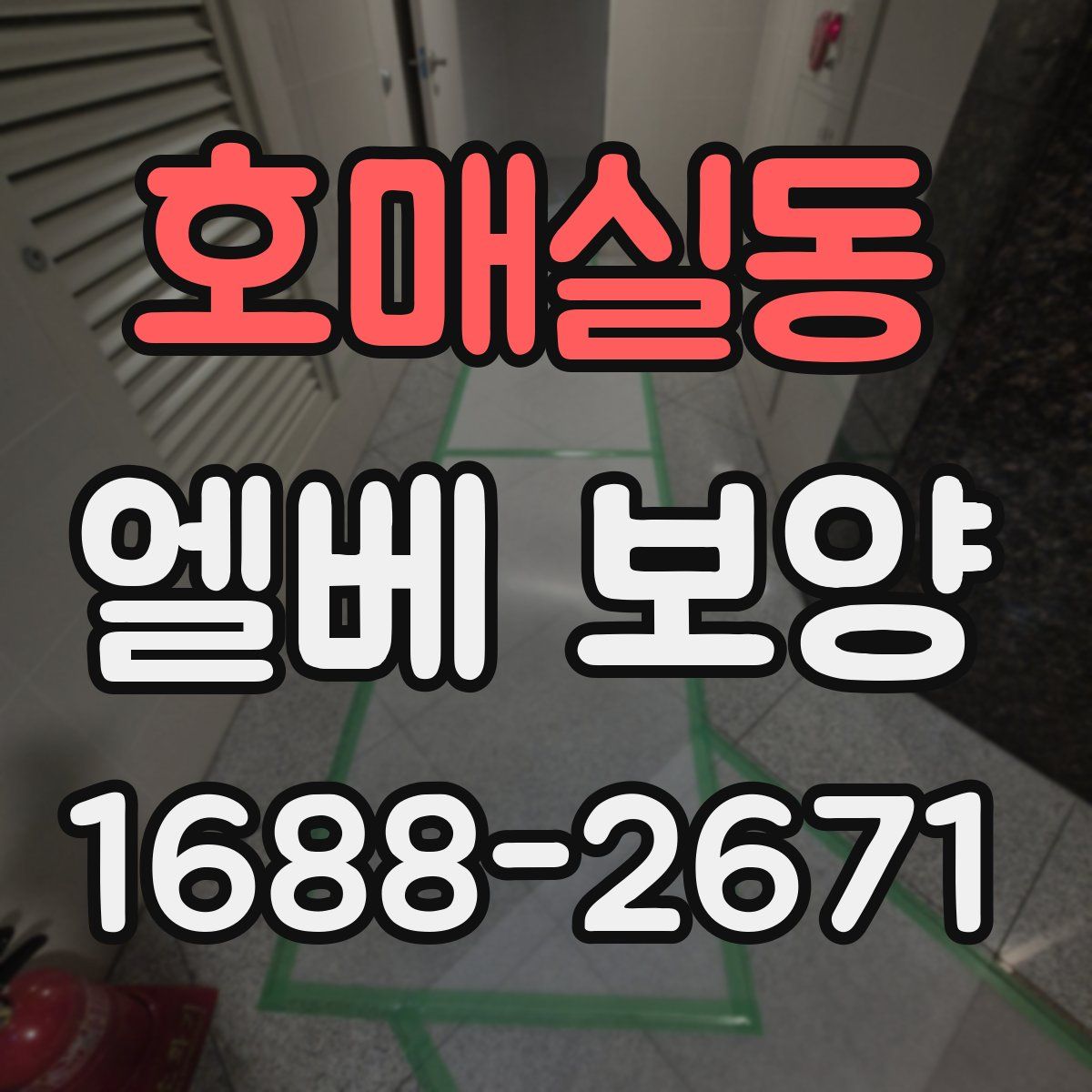 호매실동 엘베 보양