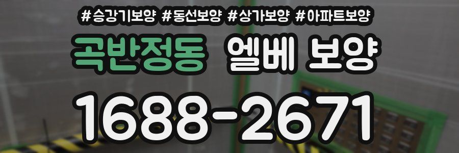 곡반정동 엘베 보양