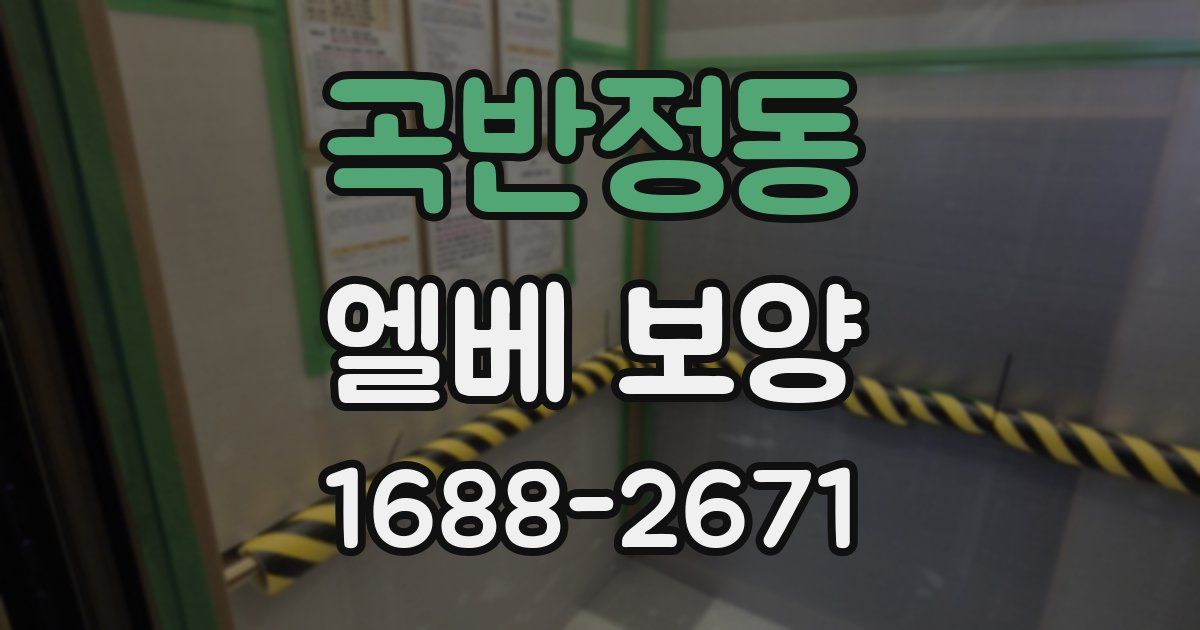 곡반정동 엘베 보양
