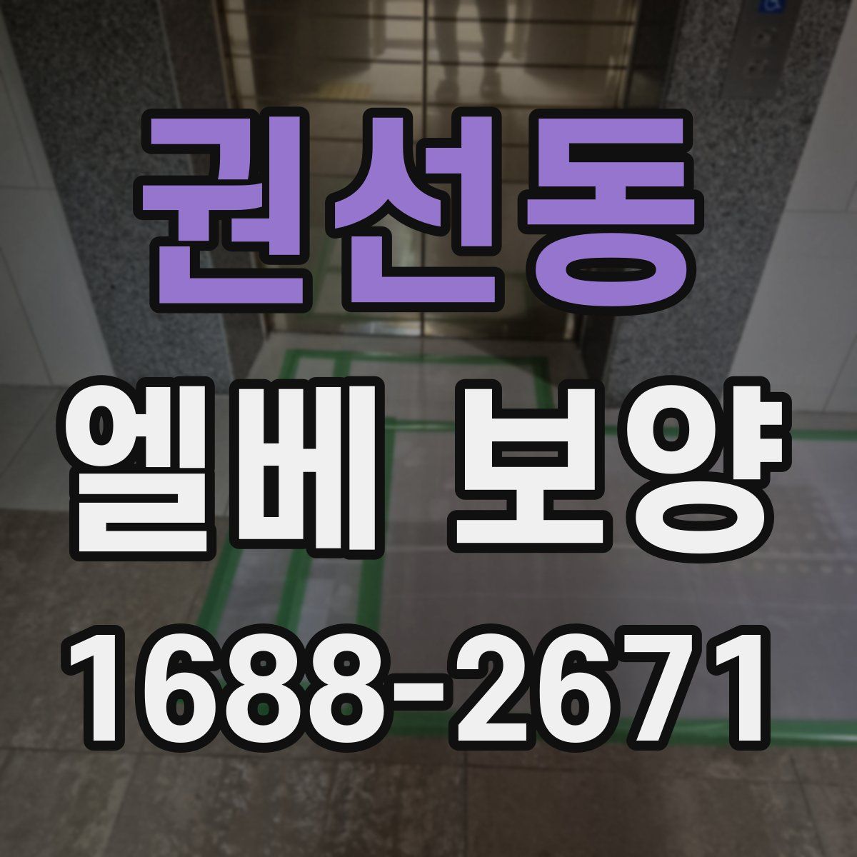 권선동 엘베 보양