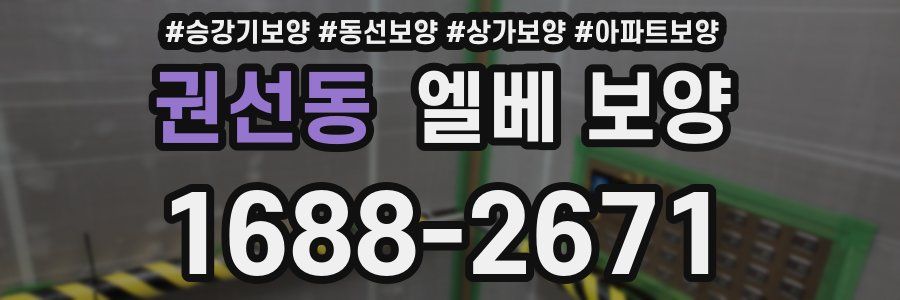 권선동 엘베 보양