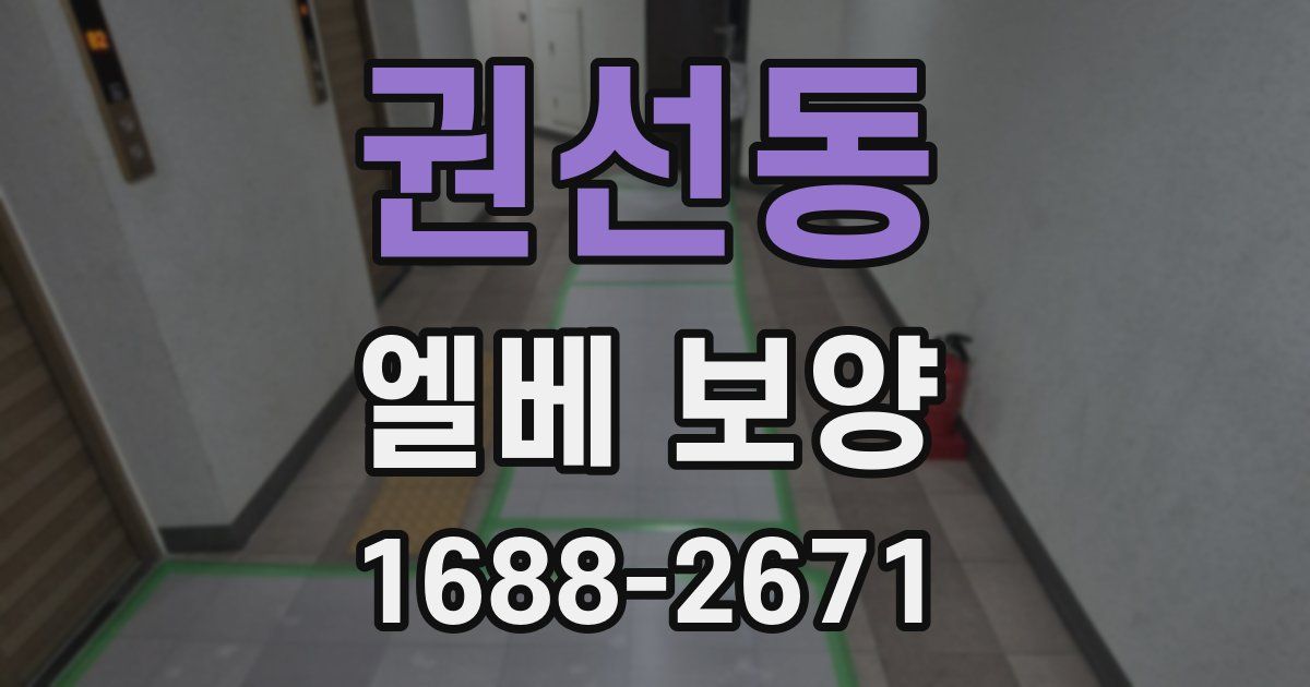 권선동 엘베 보양