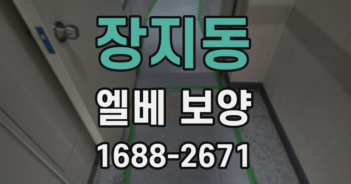 장지동 엘베 보양