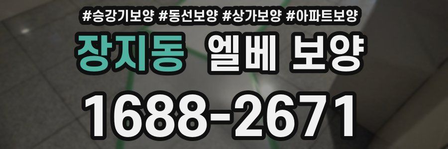장지동 엘베 보양