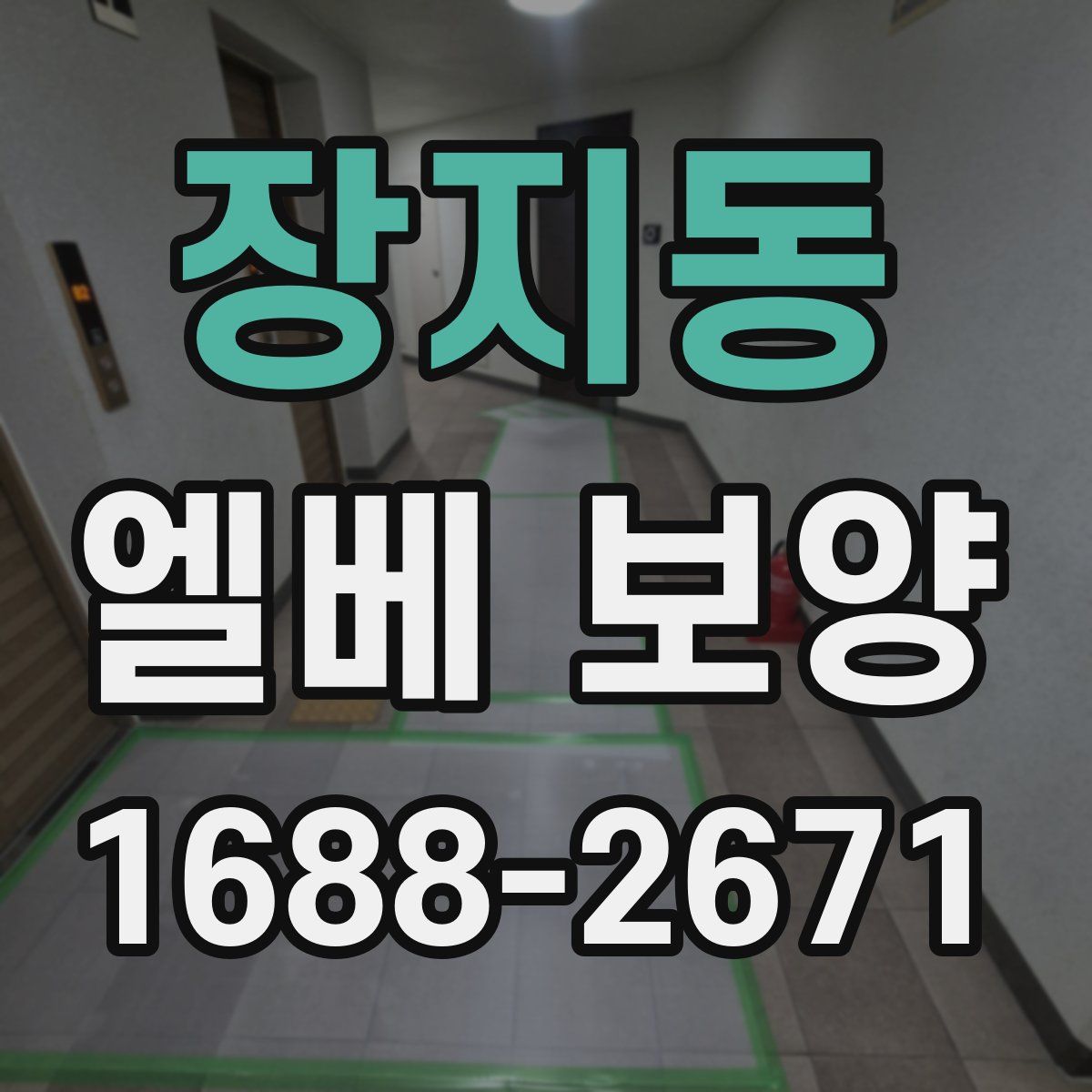 장지동 엘베 보양