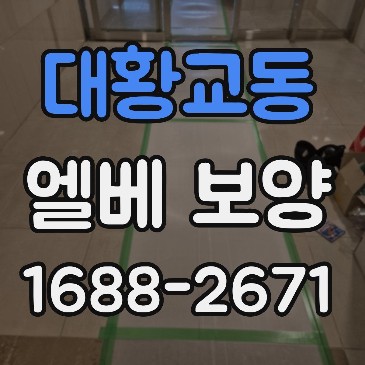 대황교동 엘베 보양