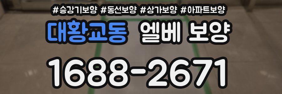 대황교동 엘베 보양