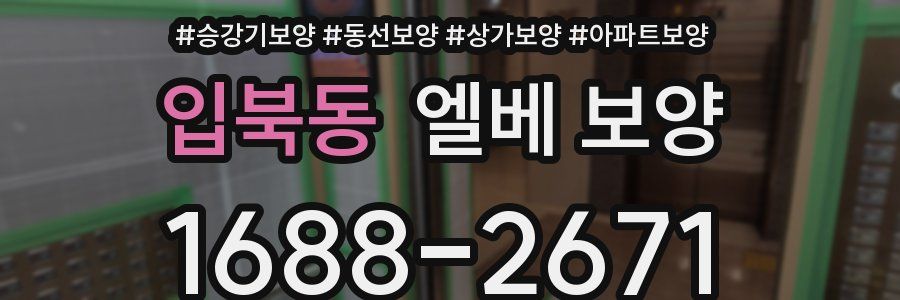 입북동 엘베 보양