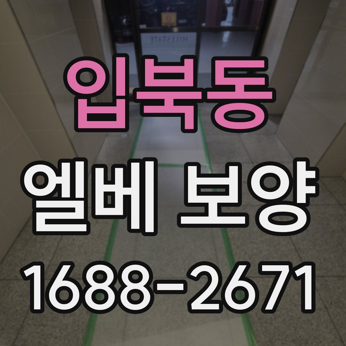 입북동 엘베 보양